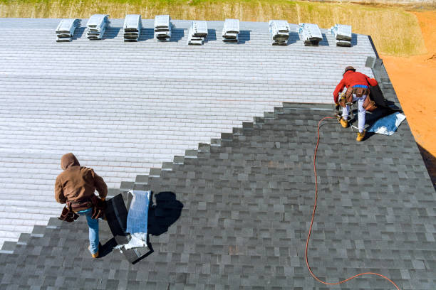 Best Roof Restoration Services  in Almedia, PA