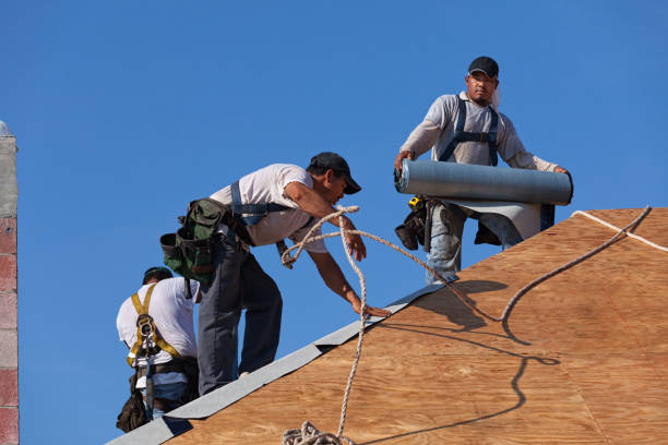 Best Roof Gutter Cleaning  in Almedia, PA