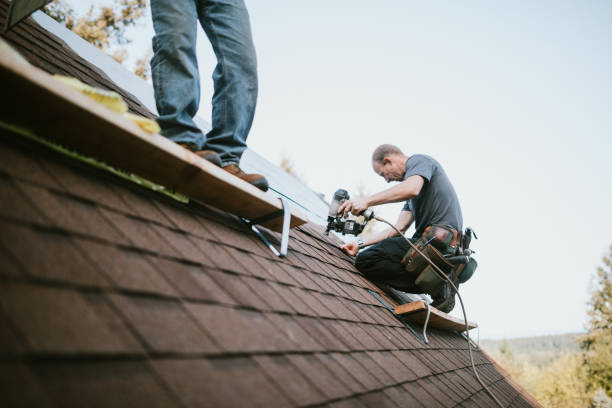 Best Roof Maintenance Services  in Almedia, PA