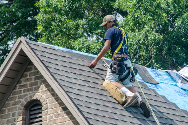 Best Storm Damage Roof Repair  in Almedia, PA